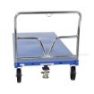 Steel Platform Truck 3600 lb. Capacity 36 X 72 Model #: SPT-3672 