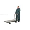 Steel Platform Truck Part #: ECSPT-2448 