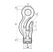Picture of V10 Eye Grab Hook w/Clevis Attachment (Grade 100)