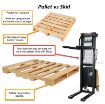 Pallets vs skids