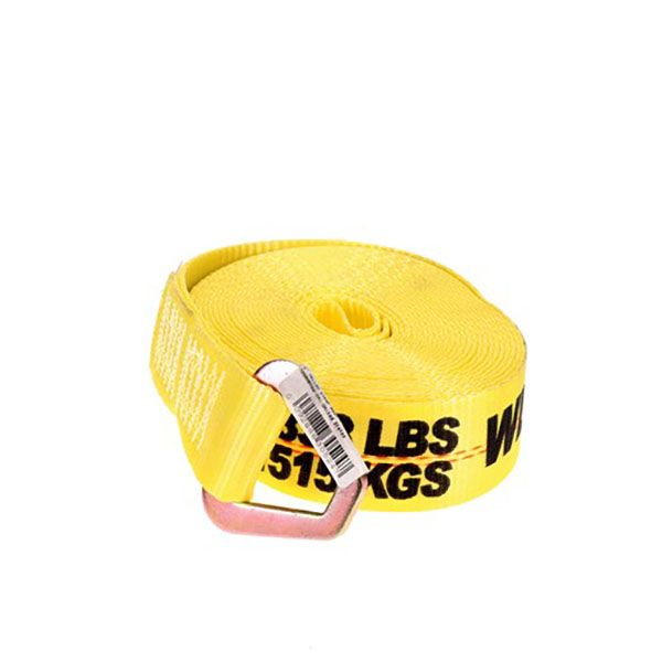 2” x 30’ Winch Strap w/Delta Ring, by Ancra
