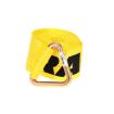 4"X 30' Winch Strap with Delta Ring, by Ancra
