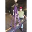 1 Inch X 6 ft Purple Endless Round Slings 1" x 6' - Ancra Cargo