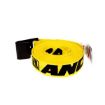 2"x 30' Winch Strap with Flat Hook - Ancra Cargo