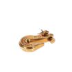 Clevis Hooks 3/8 inch - Ancra Cargo
