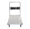 Fold-Up Aluminum Platform Truck
